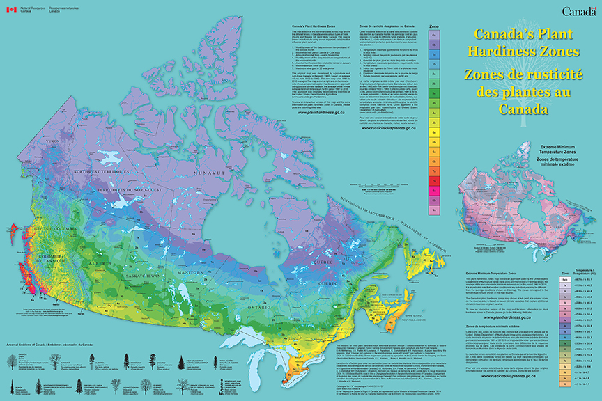 Plant Hardiness Zones How To Successfully Select the Right Seedlings.