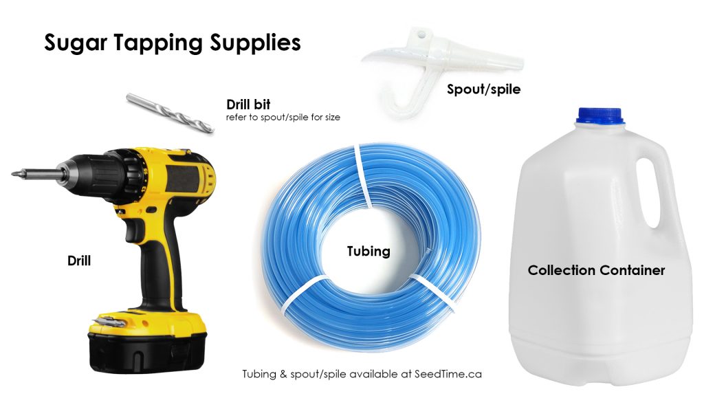 Sugar tapping supplies.