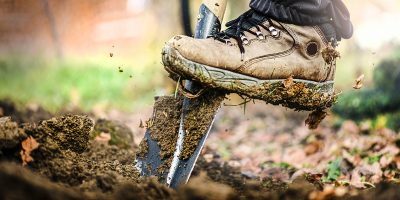 man preparing planting site by digging a hole