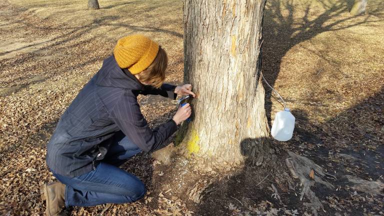 TreeTime.ca team member