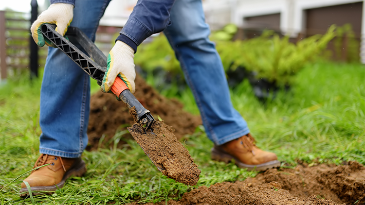 digging a hole